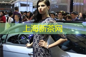 当代艺术与上海的新气象